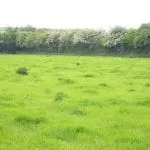 Intensive-grassland_dairy-farm_Donal-Sheehan