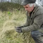 Boyd releases a ringed grey partridge on strahack farm -small