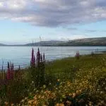 Lough Allen lakeshore
