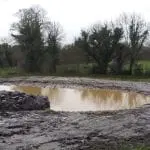 New pond and wetland created march 2019.