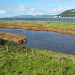 Strahack shore pool -small