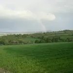 View of Strahack farm with oats in forground and pasture in background -small