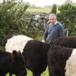 Gerard-James-with-Cattle-2