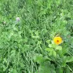 IMG_20180925_220856_277