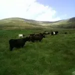 Photo-0082 (2)