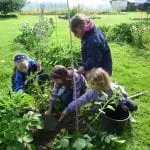Children Gardening at ISSA school garden