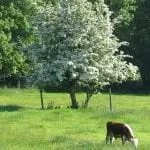 IMG_0142_web