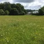 Haymeadow