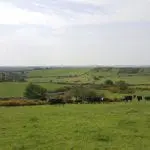IMG_0010