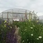 20180605_144754