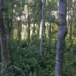 IMG_20210124_233410