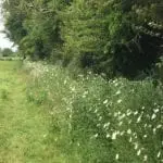 Picture2