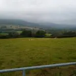 1000002108