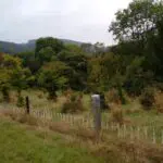1000002111