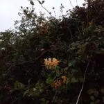 1000002112