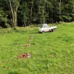 Collecting beetles on my farm