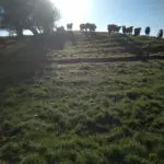 IMG-20190410-WA0008