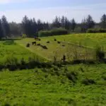 IMG-20210424-WA0000