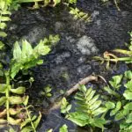 IMG-20240307-WA0039