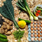 veg+11