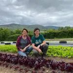 gorsefarm2