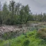 IMG-20250429-WA0015