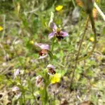IMG_20250610_160240
